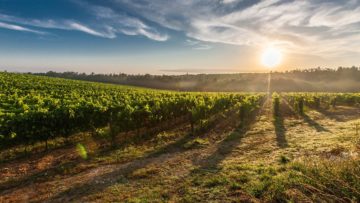 Farming is All About the Do-it-yourself Approach